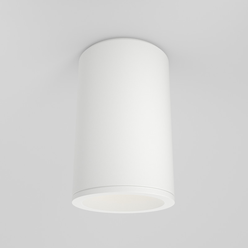 Влагозащищенный светильник Maytoni Technical C029CL-01-S-W