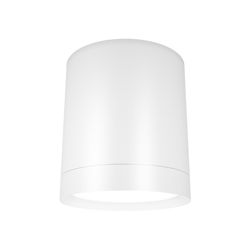 Накладной светильник Maytoni Technical C086CM-GX53-MRD-W