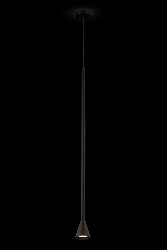 Подвесной светильник Maytoni Technical P064PL-01B