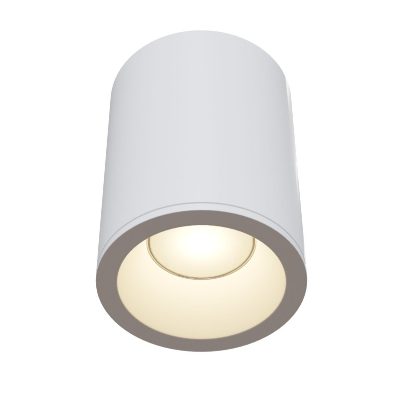 Влагозащищенный светильник Maytoni Technical C029CL-01W